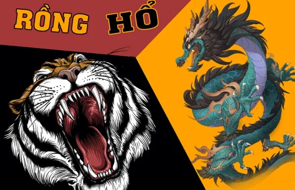 Rồng Hổ Là Gì?